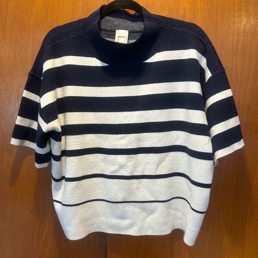Maeve Navy and White Striped Turtleneck Sweater